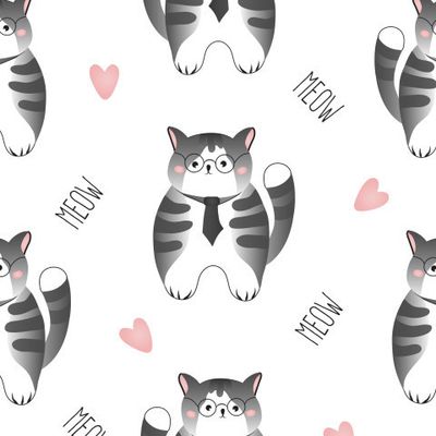 Умный кот на белом фоне