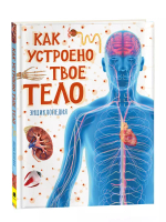 Как устроено твое тело
