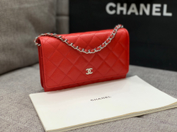 Chane1 WOC 19 cm