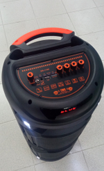 Колонка DIGIVOLT DG-1185 8"/3000W Караоке