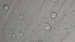 Outwell California Highway [100054]