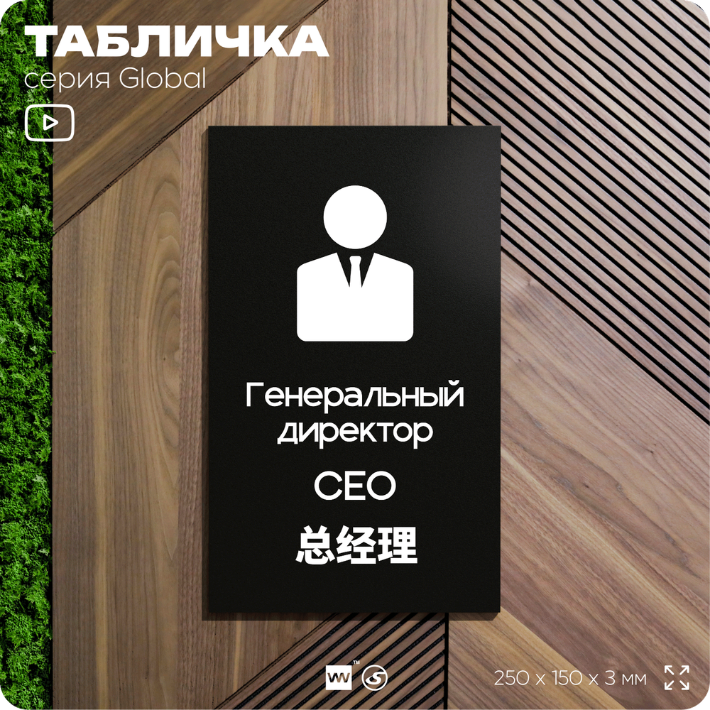 Табличка Генеральный директор, на дверь и стену, информационная и мультиязычная (русский, английский, китайский), серия GLOBAL, 25х15 см, Айдентика Технолоджи