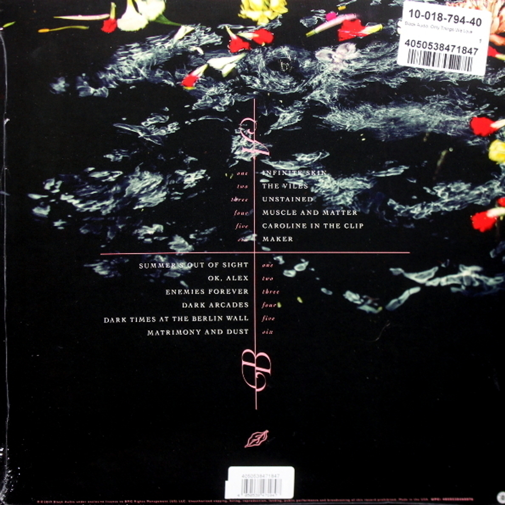 Blaqk Audio / Only Things We Love (Picture Disc)(LP)