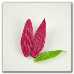 пищевой молд листа лилии