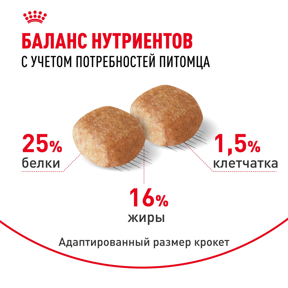 Royal Canin Miniature Schnauzer Adult Миниатюрный Шнауцер Эдалт Корм сухой для взрослых собак породы Миниатюрный Шнауцер от 10 месяцев 3кг