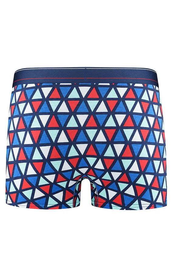 Мужские трусы BB61R Принт