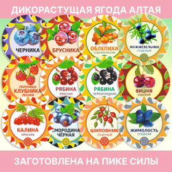 Яблоня цвет / цвет с листом.