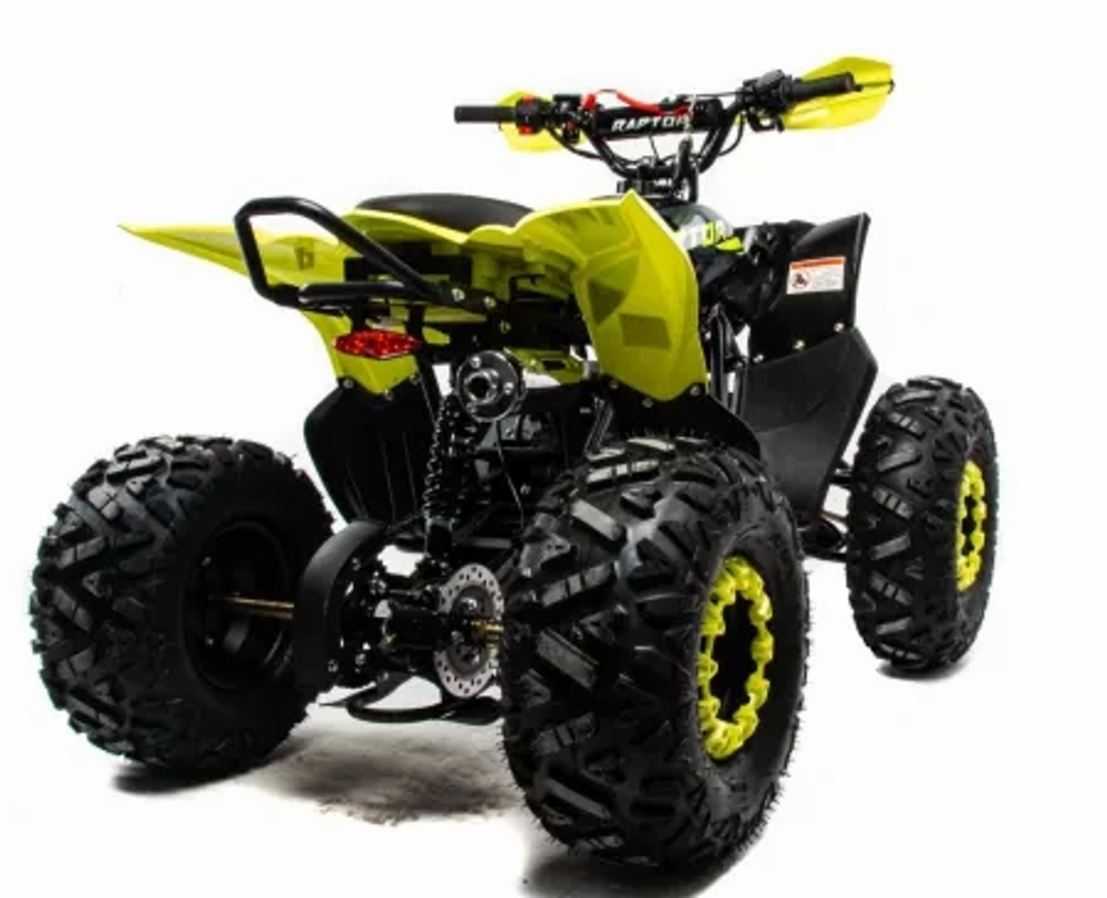 Квадроцикл MOTOLAND (МОТОЛЕНД) 125 RAPTOR A