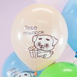 Воздушный Шар (12''/30 см) С Днем Рождения (котенок и щенок), Ассорти, пастель, 1 ст, 25 шт.