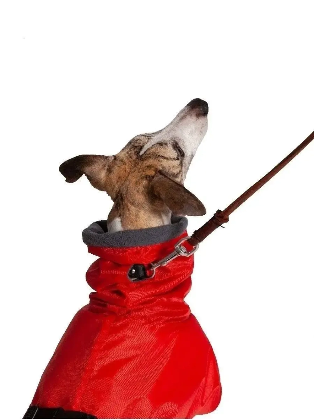 Утепленная попона для собак пород Уиппет Левретка