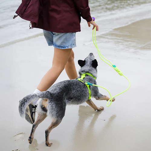 Поводок handsfree NEOPRO FLUO Zee.Dog