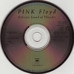 Pink Floyd / Delicate Sound Of Thunder (2CD)