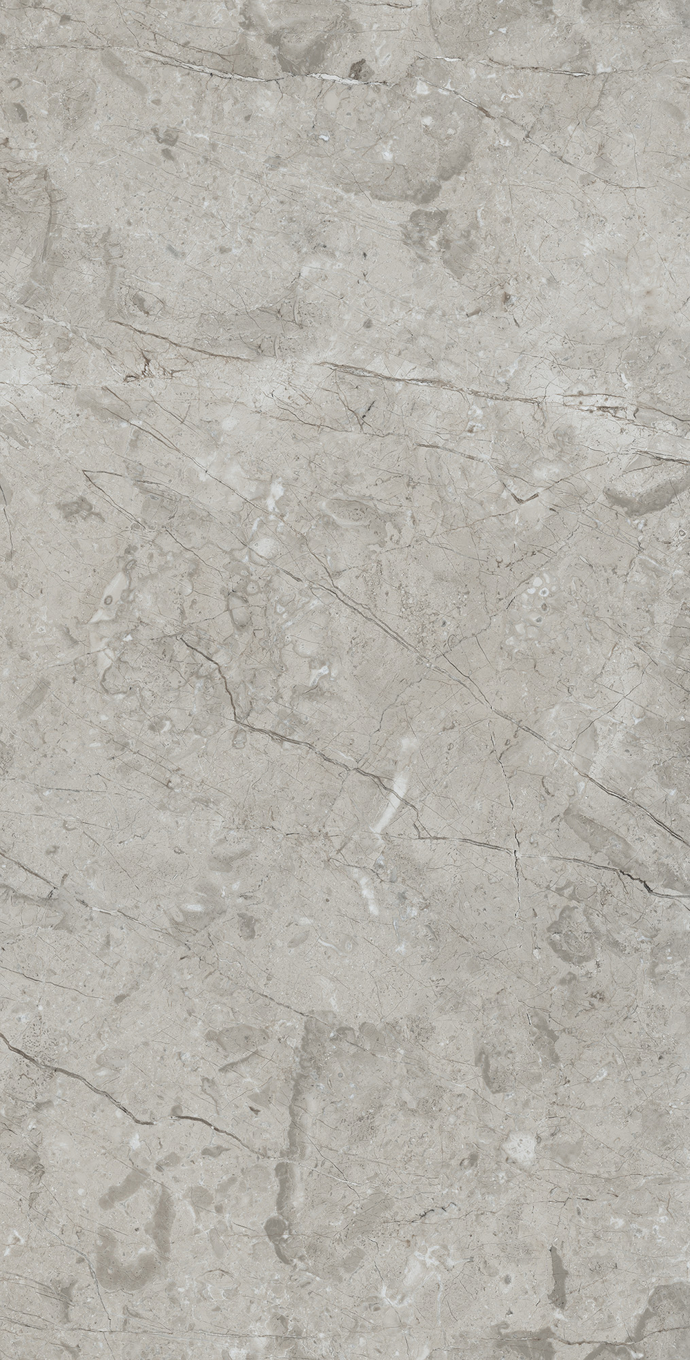 Керамогранит, Arcadia Ceramica, MARCUS GRACIA, 1200x600 мм, матовая