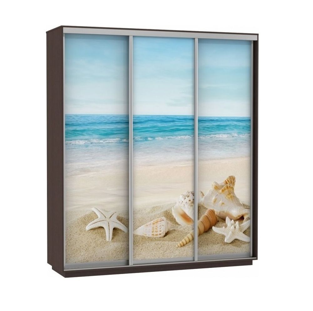 Шкаф-купе "Экспресс Фото Трио" (венге/море) 2200х1800, МК Е1, г. Белореченск