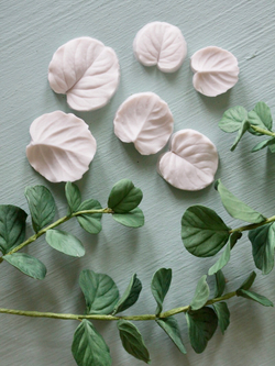 Набор вайнеров для лепки листьев эвкалипта Coprussia