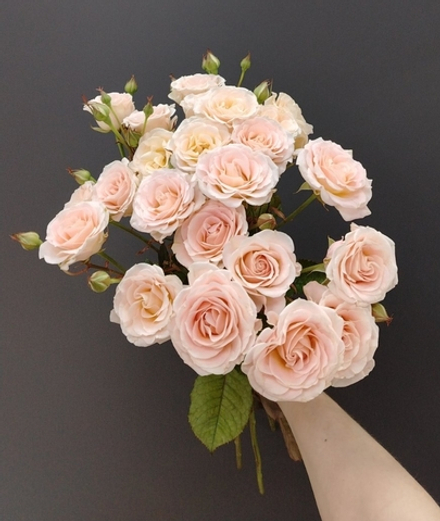 Индивидуально: 7 веток роз в черной упаковке, кремовая лента