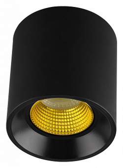Накладной светильник Denkirs DK3090-BK+YE