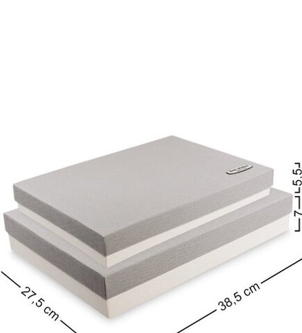 WF-04-C Набор коробок из 2шт «Прямоугольник» цв.бел./сер
