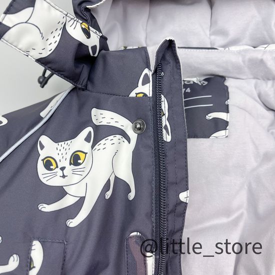 Комбинезон зимний "Забавные кошечки" угольный серый