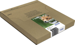 Epson Fox T128 Подлинный Черный, Голубой, Пурпурный, Желтый 1 шт C13T12854511