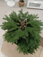 Ель искусственная «Изольда» (Литая хвоя) 250 см / 2,5 м