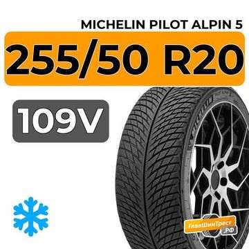 Michelin Pilot Alpin 5 SUV 255/50 R20 109V XL