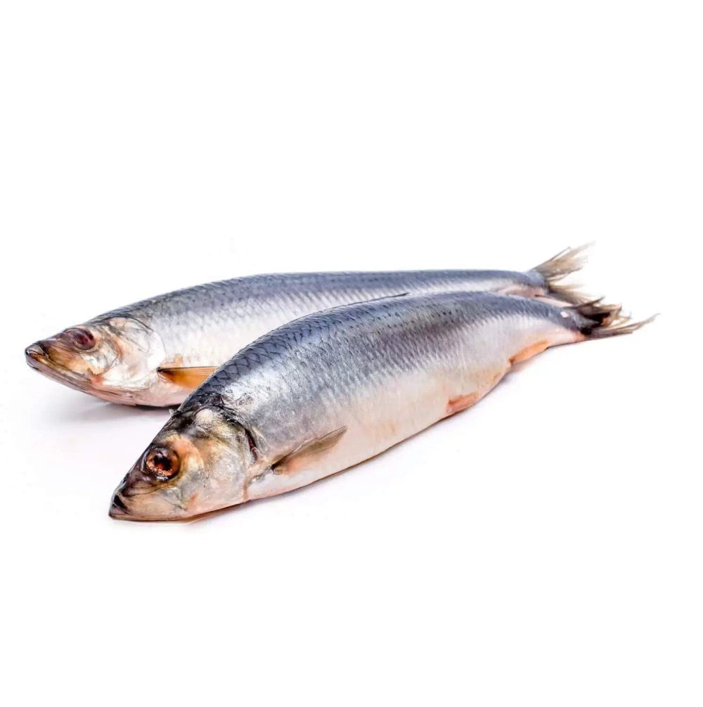 сельдь 450+* Исландия