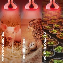 Инфракрасная лампа ЭРА ИКЗК 220-250 R127 кратность 1 шт Е27 / E27 для обогрева животных и освещения