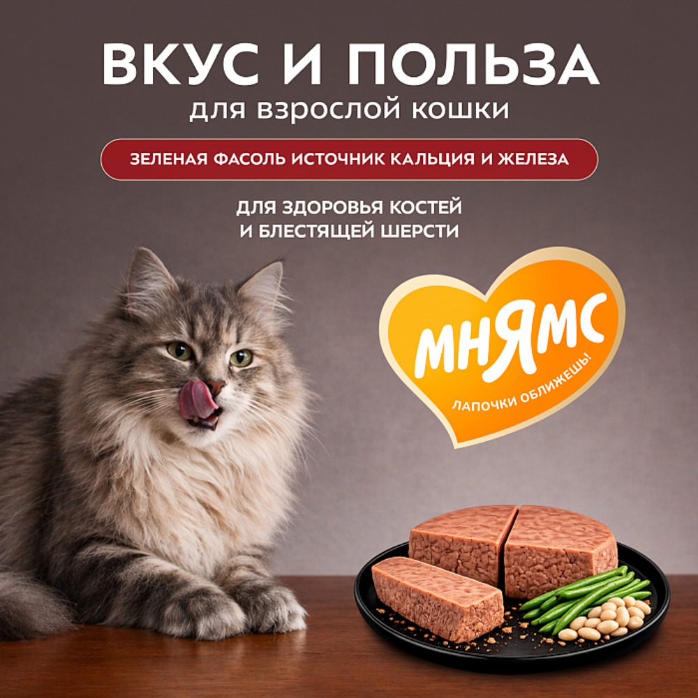 Влажный корм консервы для кошек Деликатес"Паштет по-мальтийски" кролик с зеленой фасолью Мнямс 0,1кг 16 шт