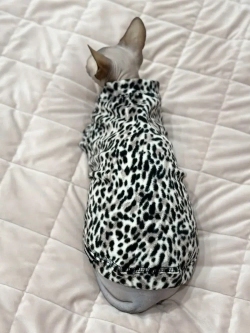 Одежда свитер для сфинксов кошек