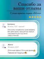 Сухая краска «Морозная клюква» серия «Silver»