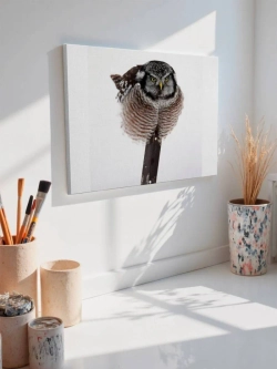 Картина на стену 40 X 50 Сова