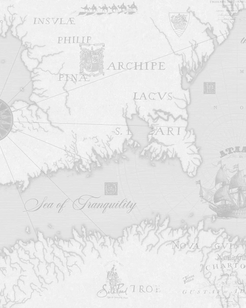 Обои SL8838-21 Geo Solo