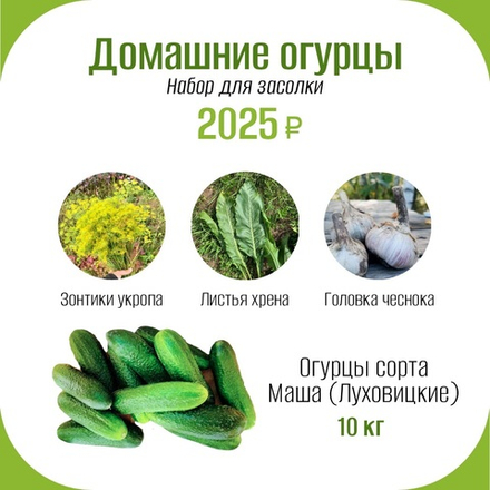 Комплект для засолки огурцов