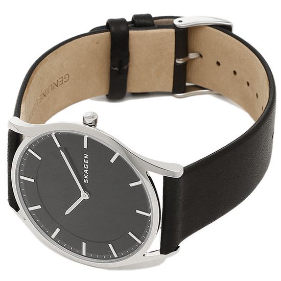 Мужские часы Skagen SKW6220