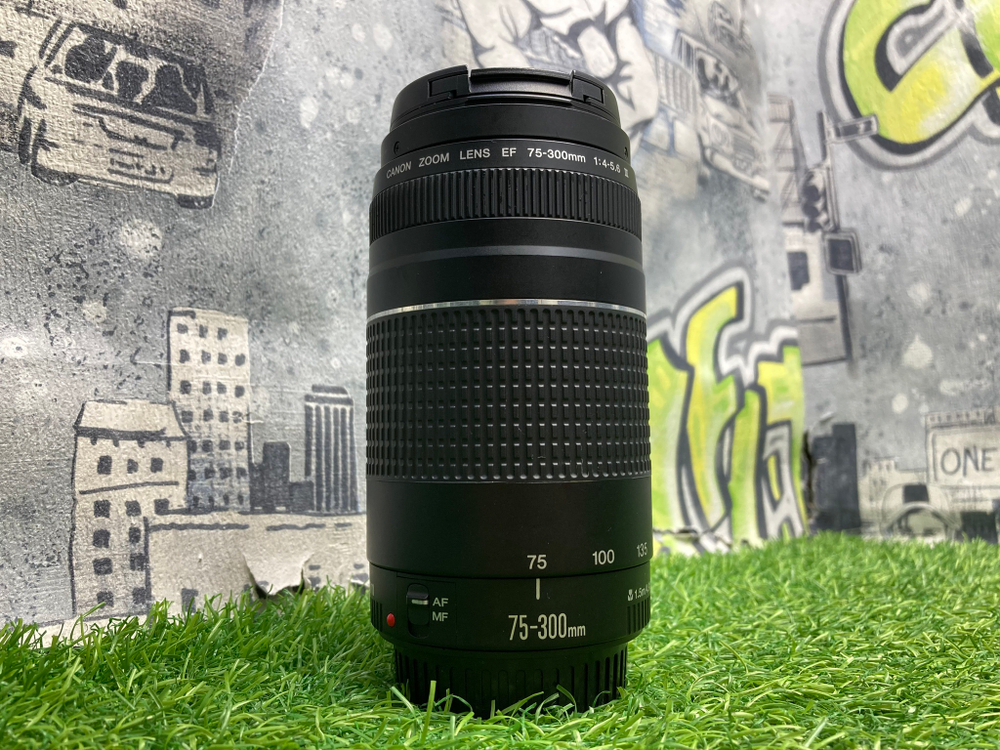 Canon EF 75-300mm 4-5.6 III