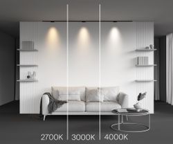 Трековый магнитный светодиодный светильник Maytoni Levity Points TR193-1-5W2.7K-M-B