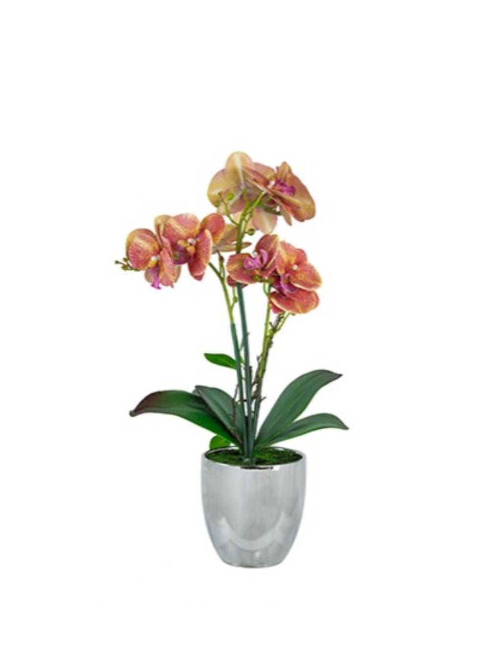 GLASAR Орхидея декоративная