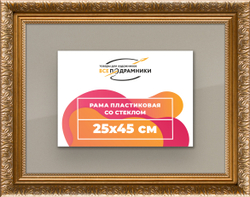 Рамка 25x45 для постера и фотографий