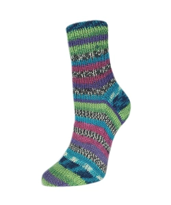 Пряжа Rellana Flotte Socke 4f. Roma (3223)