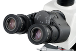 Микроскоп цифровой Levenhuk MED D40T, тринокулярный