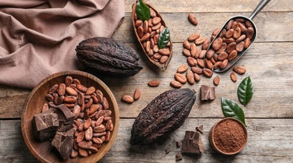 Производители какао. Часть 4