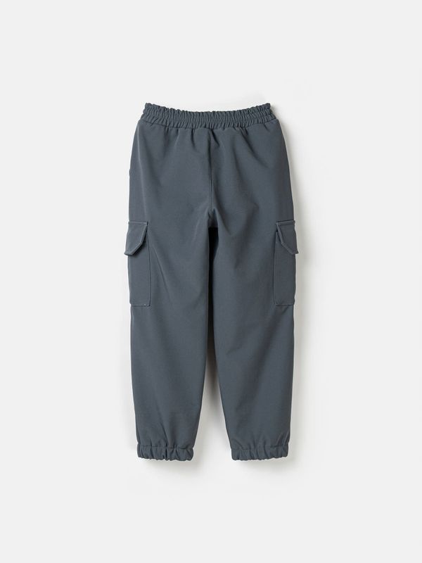 Брюки карго Softshell демисезонные 
