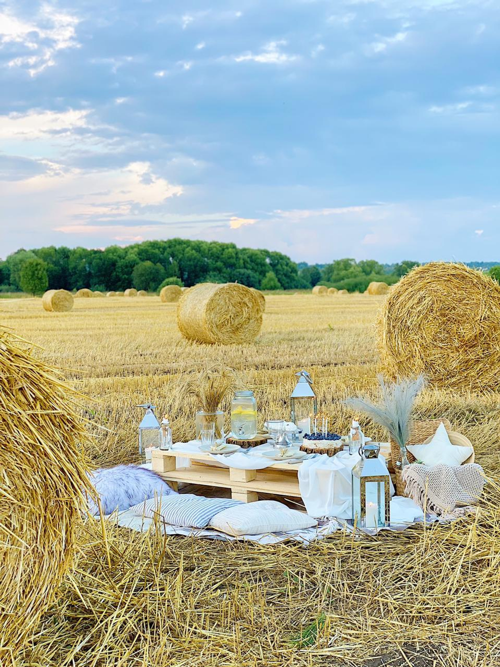Golden Field