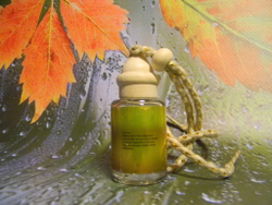 Автопарфюм 212 VIP Woman 12ml