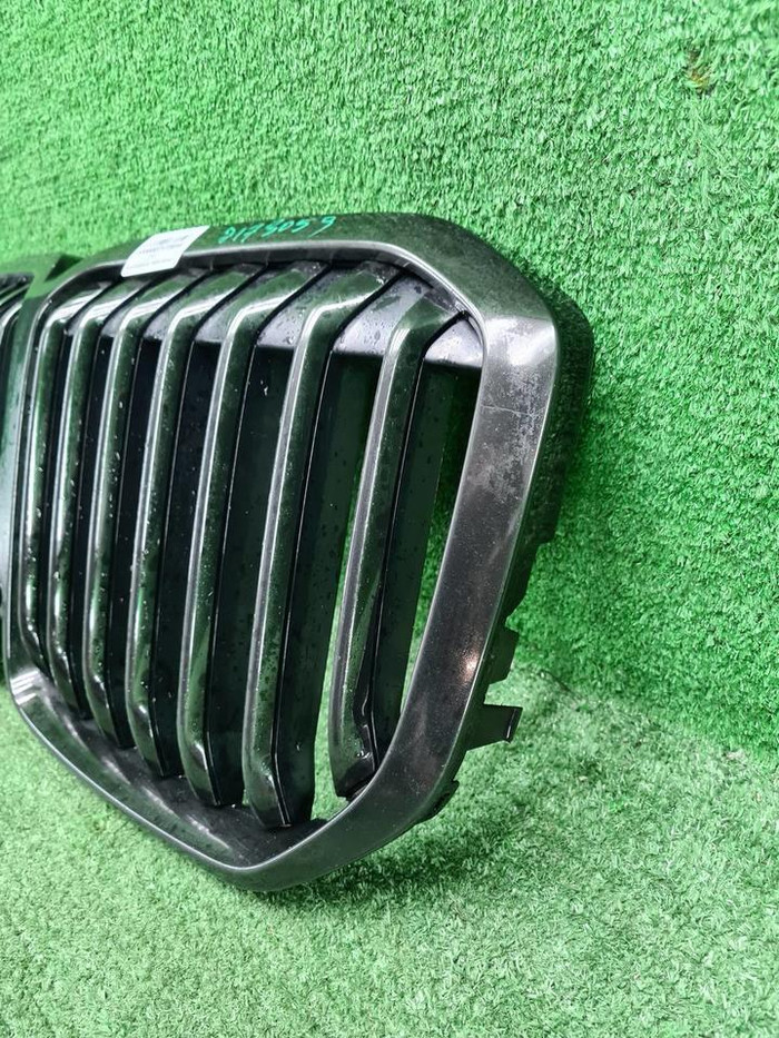 Решетка радиатора BMW X7 G07 (2019-2022)