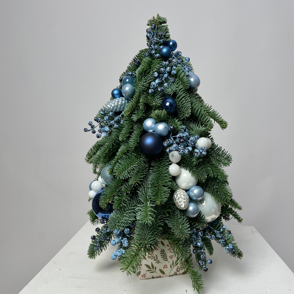 Ёлка Синий иней