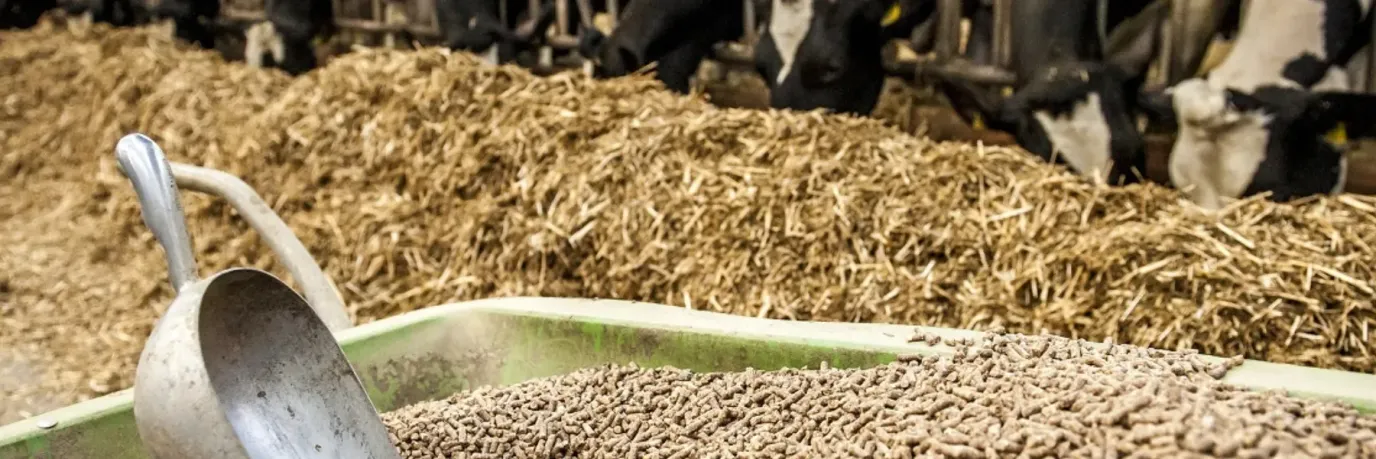 СПЕЦИАЛЬНЫЕ ДОБАВКИ