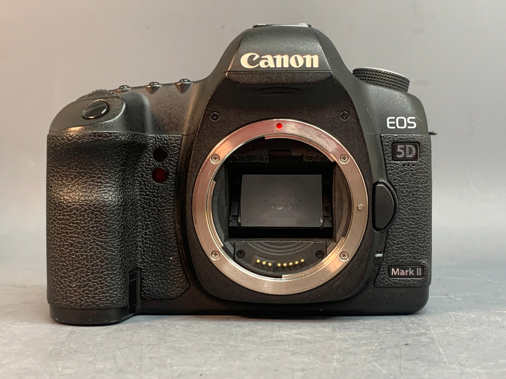 Canon EOS 5D Mark II, 62500 кадров