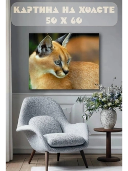 Картина на стену 40 X 50 Дикая кошка
